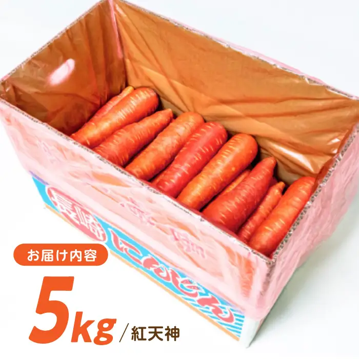 ※【2027年1月上旬より順次発送／先行予約】【甘みと栄養たっぷり！】真っ赤な人参「紅天神」 5kg / にんじん ニンジン 人参 carrot やさい 野菜 にんじんジュース 人参ジュース ニンジンジュース キャロット キャロットジュース / 諫早市 / 滝商店株式会社[AHCU008]