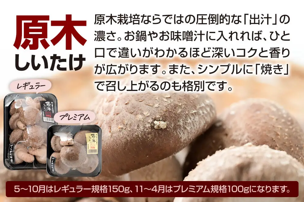 みちのくの小京都・角館が育んだ「2種セット」（桜えのき約300g×3袋、原木しいたけ×3パック）きのこ2種
