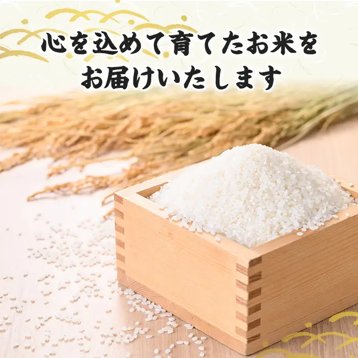 【パックご飯】福岡県産米 元気つくし(計48パック) お米 米 コメ おこめ こめ 元気つくし 小分け 白米 ごはん ご飯 福岡県産 ブランド米 常温 常温保存 金のめし丸 非常用 保存食 備蓄 防災 【農産物直売所ほたるの里】as52-037