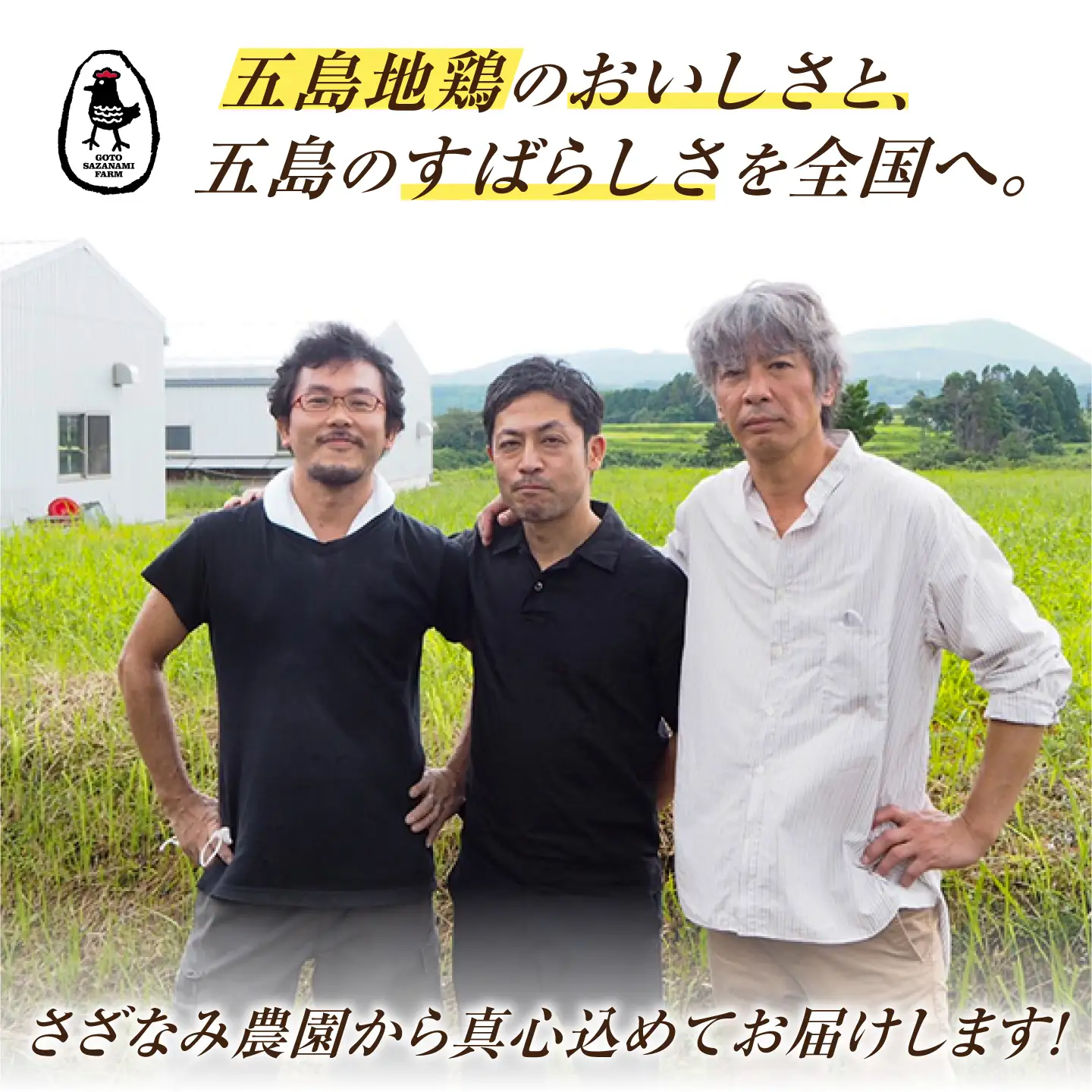 五島しまさざなみ まるごと1羽分セット 冷凍 五島市/合同会社五島さざなみ農園[PHH001]