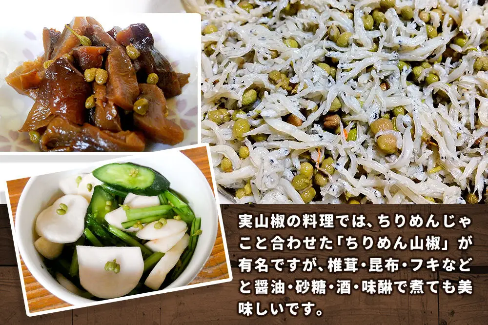 塩蔵実山椒 50g×4個 手作り  秋田県 北秋田阿仁産