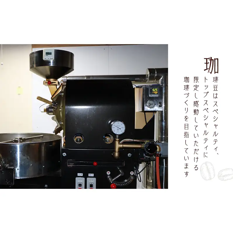 【定期便12か月】ロースターお勧め3種セット（モカ・グァテマラ・天竜の風　TenryuBreeze） 豆 コーヒー豆 珈琲豆 コーヒー 静岡 浜松市