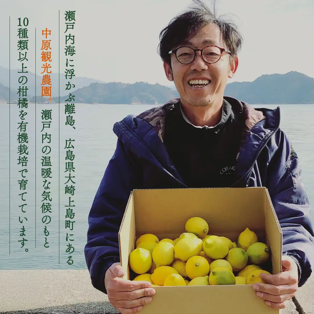 【 先行予約 】 瀬戸内 オーガニック グリーンレモン 9kg (80～90個程度) 【2026年10月以降発送】