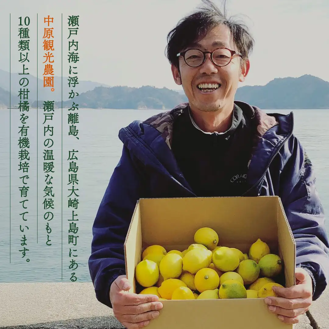 【 先行予約 】 瀬戸内 オーガニック ブラッドオレンジ 5kg (40～50個程度)+お試しオーガニックレモン1個 【2027年2月下旬以降発送】 