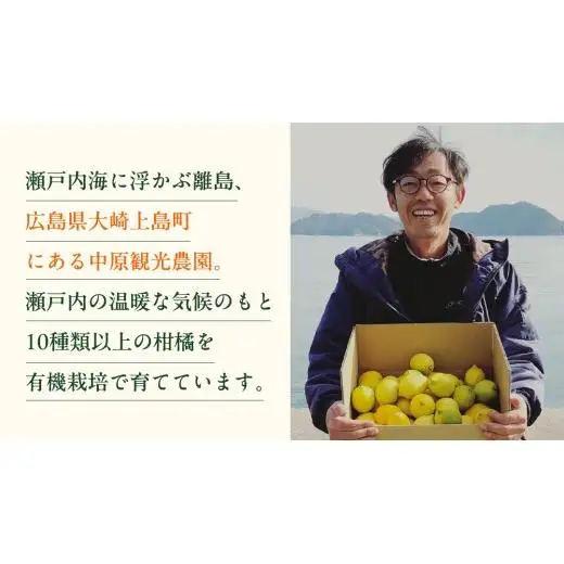 【 先行予約 】 瀬戸内 オーガニック レモン 9kg (80～90個程度) 【 2027年1月～2月発送 】 有機JAS 広島県産 中原観光農園