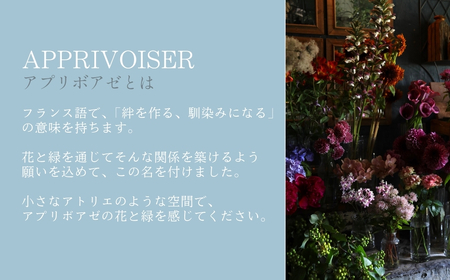 ◇お任せ◇　季節の寄せ植え