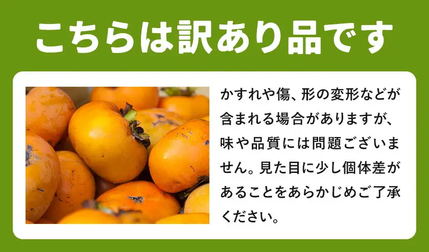 たねなし柿 訳あり 10kg 農業福祉研究機構
