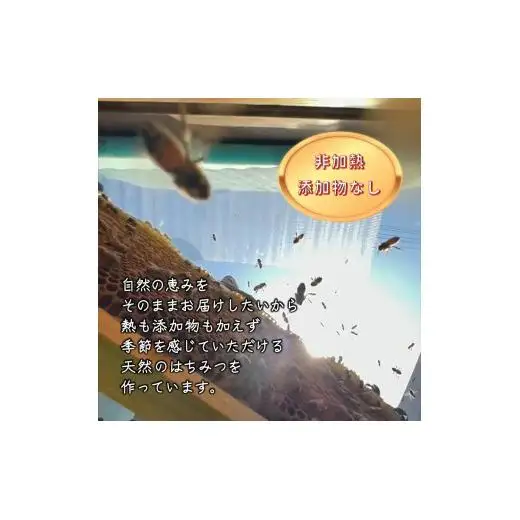 国産純粋生はちみつ ハニービーズコレクション“しろいの季節”のはちみつ 170g 純粋はちみつ 非加熱 添加物なし 百花蜜 単花蜜 国産はちみつ 生はちみつ100% 美味しい