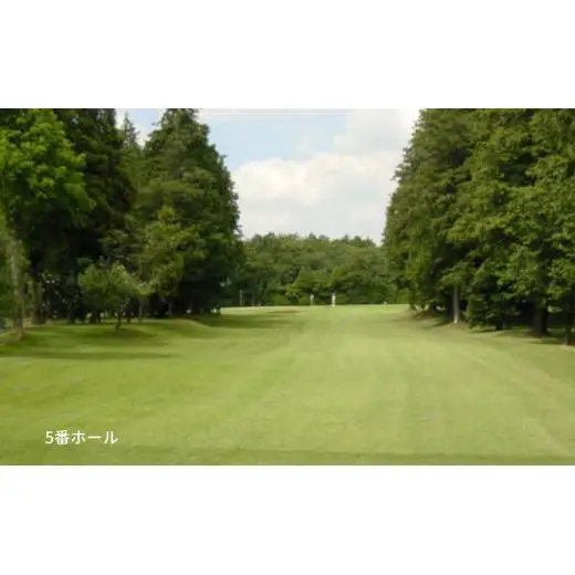 ゴルフ場利用券 白井ゴルフ林間ショートコース 土日1回プレー券 1名様分 白井市 ゴルフ場 お一人様でも回れるゴルフ場 おすすめ 体験 千葉 初心者歓迎 ショートコース 体験チケット