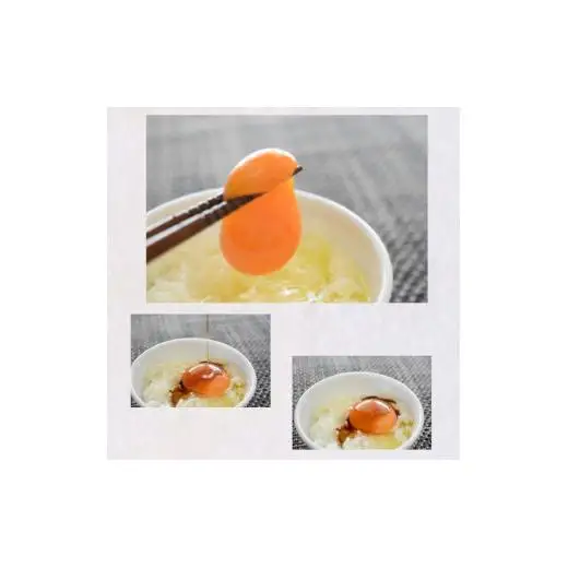 【定期便６か月】卵 30個 新鮮たまご 産卵後2日以内 10個×3箱 2L L ミックス 養鶏場直送 