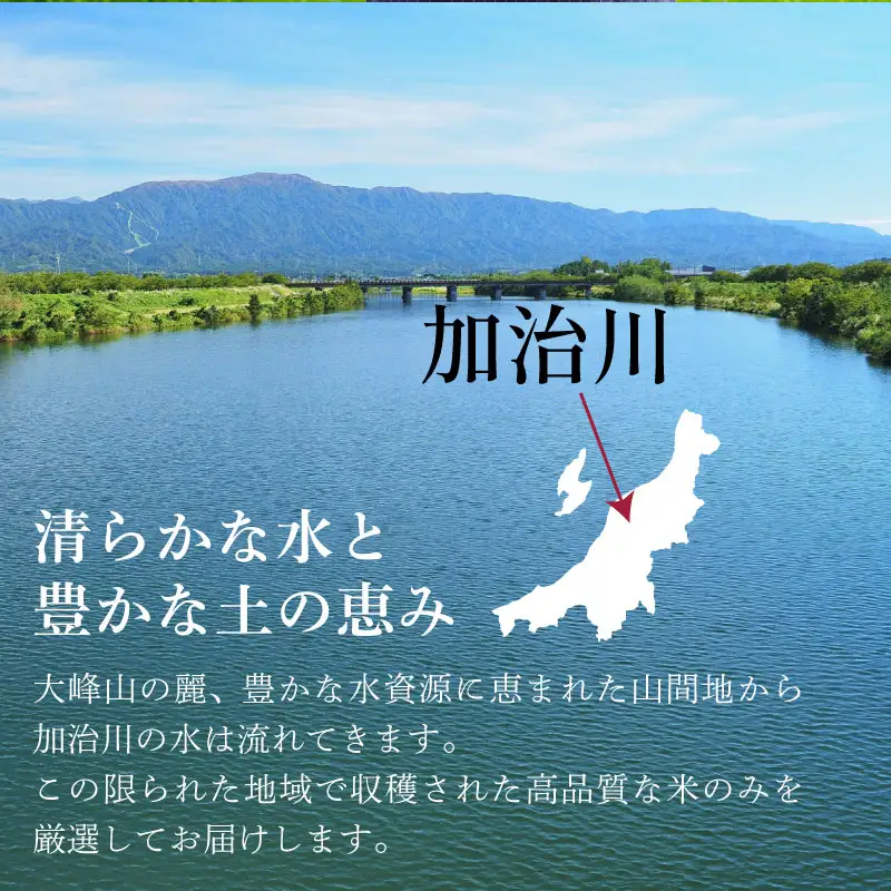 【美しさピカイチ】令和7年産 コシヒカリ ３㎏ 精米 こしひかり 米 お米 こめ ごはん ご飯 ライス 朝食 昼食 夕飯 炊きたて 希少 プレミアム 美人舞 こだわり 美しさ かがやき 輝き JGAP GAP認証 和食 自然 加治川 加治川産 新潟産 新潟 新潟県 新発田産 新発田市 新発田  アグリ加治川 agk010