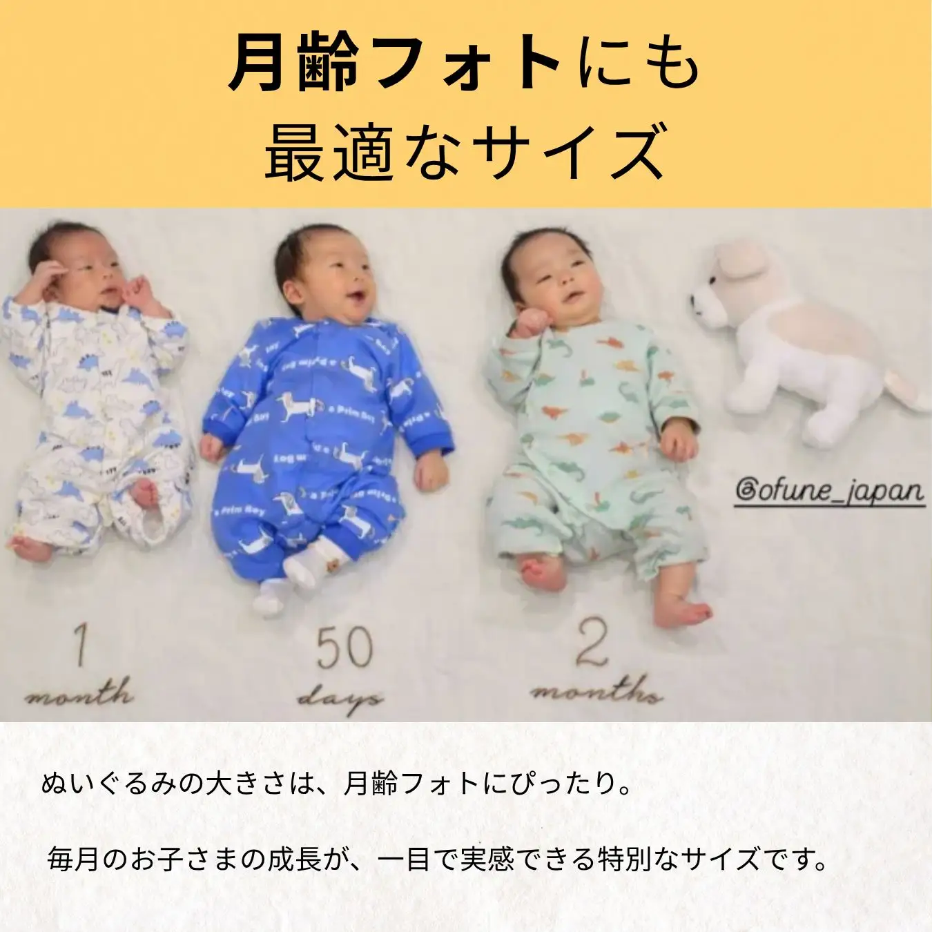 MOCHI PUPPY No.3