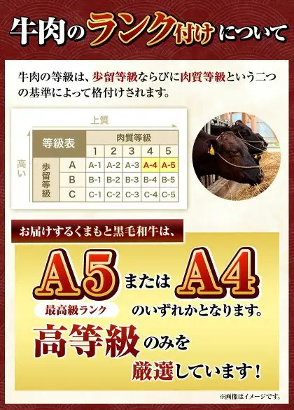 くまもと黒毛和牛 サーロイン リブロース 内モモ 希少部位 500g 牛肉 焼肉用 冷凍 《7-14日以内に出荷予定(土日祝除く)》 くまもと黒毛和牛 黒毛和牛 焼肉 肉 お肉 熊本県 南関町
