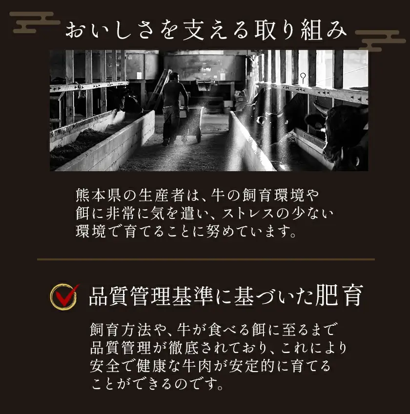 黒毛和牛 A4 ～ A5 等級 赤身 霜降り 食べ比べ 極上 スライス 600g 数量限定 肉 牛肉 《1-5日以内に出荷予定(土日祝除く)》すきやき 薄切り ブランド牛