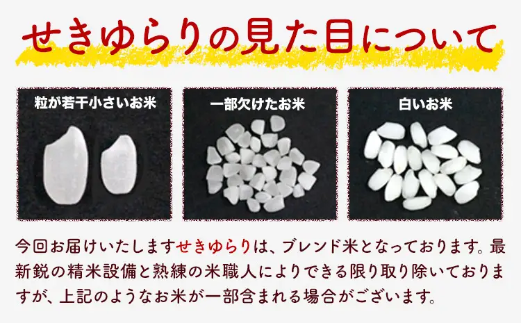 【12ヶ月定期便】米 南関町 せきゆらり 無洗米 5kg《申込みの翌月から出荷開始》熊本県産 国産 無洗米 こめ コメ 5キロ