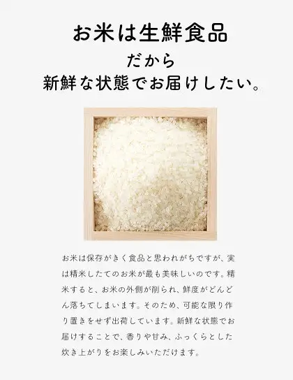 【隔月6回定期便】米  南関町 単一原料米 (ひのひかりorにこまるorくまさんの輝き) 無洗米 10kg《お申込み翌月から出荷》熊本県産 国産 ひのひかり 無洗米 こめ コメ 10キロ