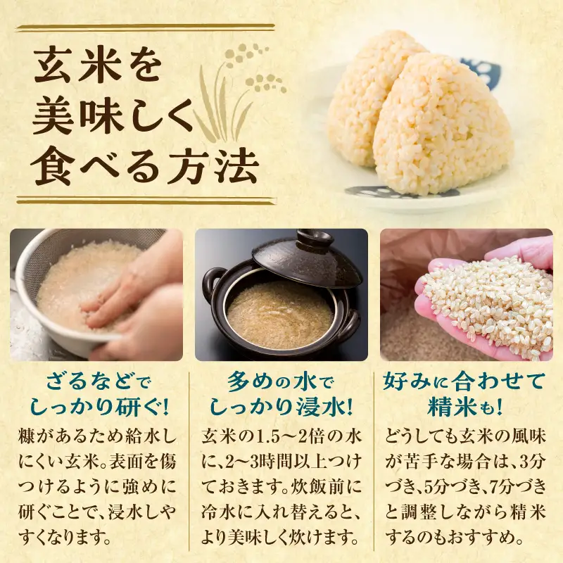 【定期便2回】令和7年産 おぼろづき 玄米 5kg（5kg×1袋）雨竜産 北海道