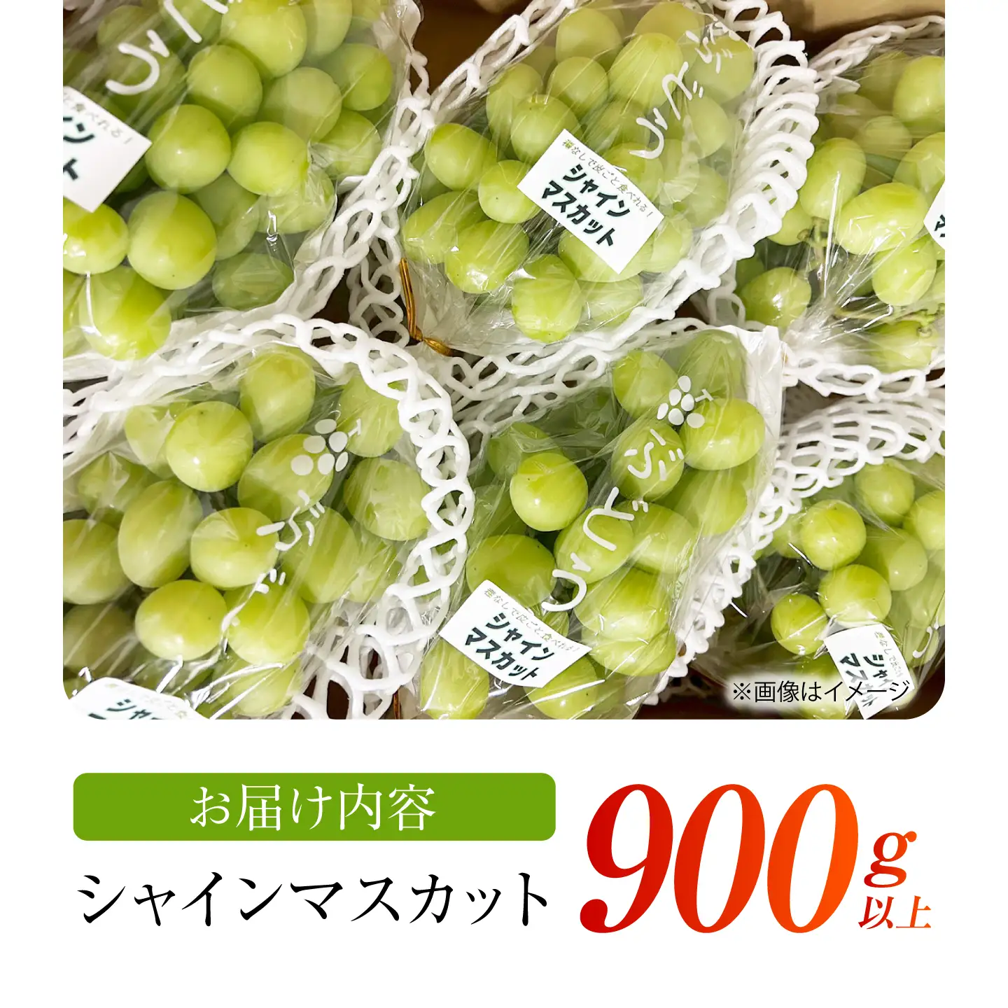 【先行予約】 シャインマスカット　900g以上 【小林農園】 / ブドウ ぶどう 果物 種なし[HAX004]