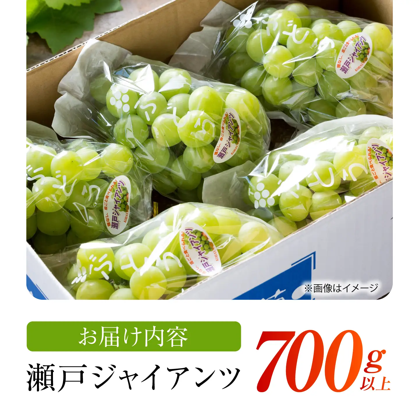 【先行予約】 瀬戸ジャイアンツ 700g以上 【小林農園】 / ブドウ ぶどう 果物 種なし[HAX005]