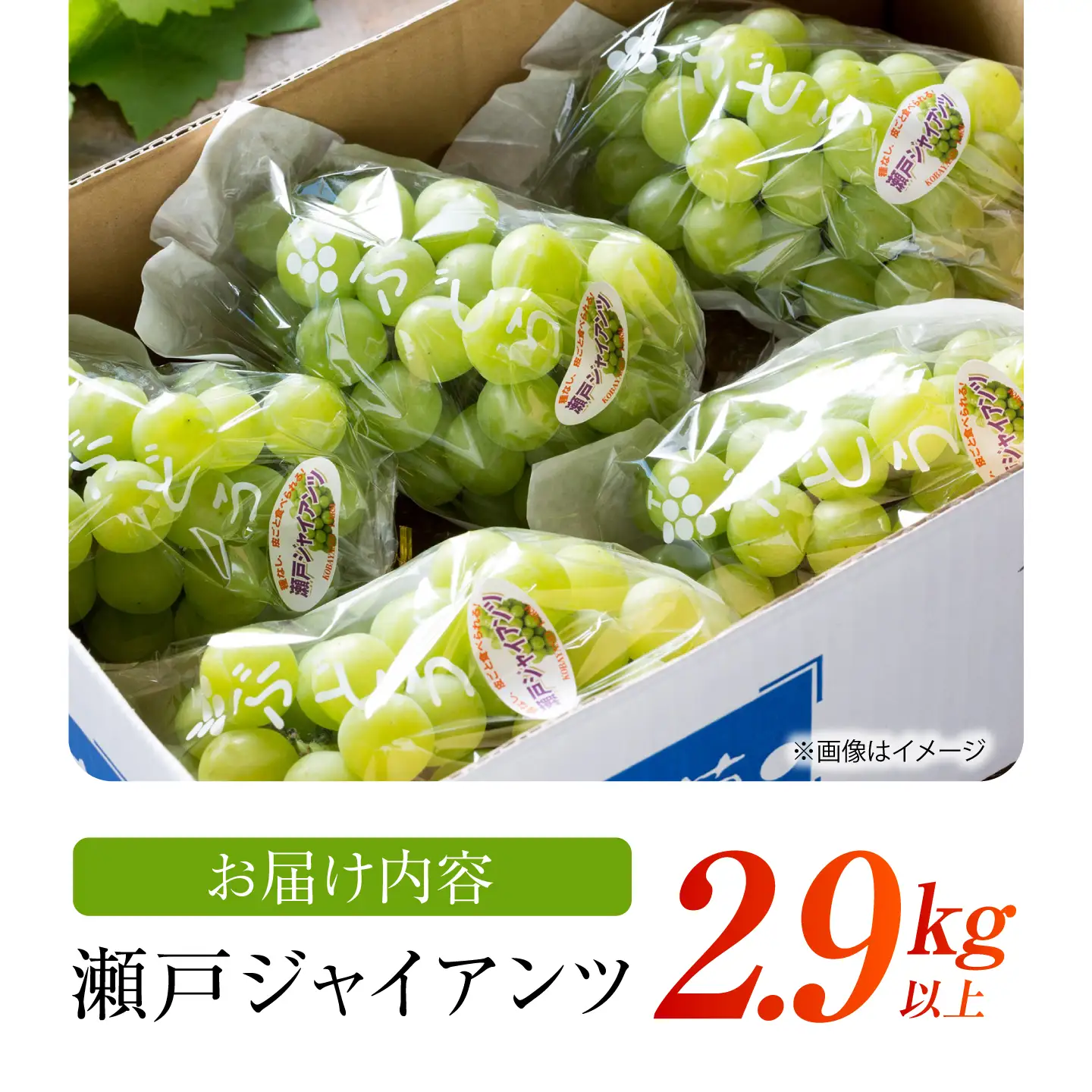 【先行予約】 瀬戸ジャイアンツ 2.9kg以上 【小林農園】 / ブドウ ぶどう 果物 種なし[HAX006]