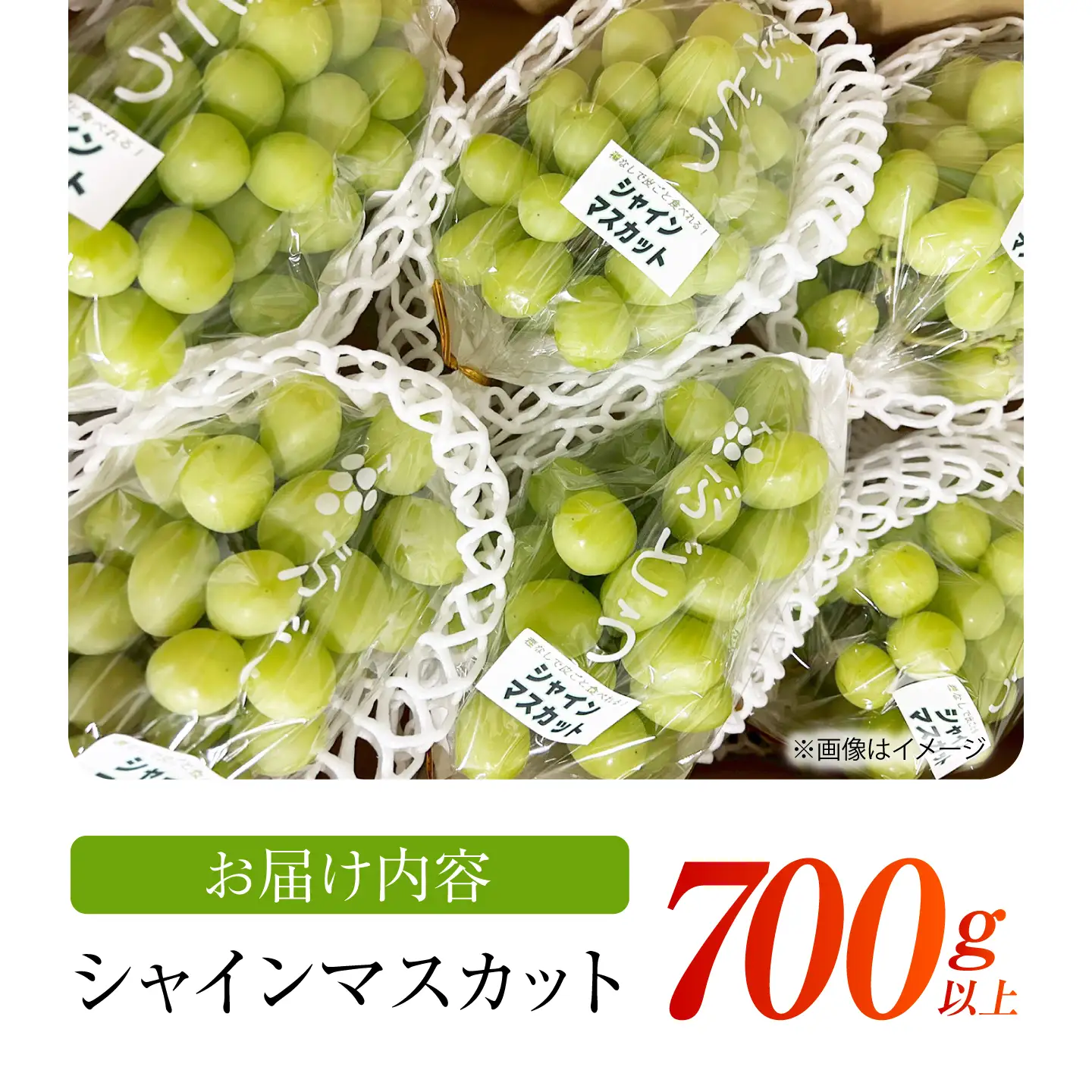 【先行予約】 シャインマスカット 700g以上 【小林農園】 / ブドウ ぶどう 果物 種なし[HAX008]