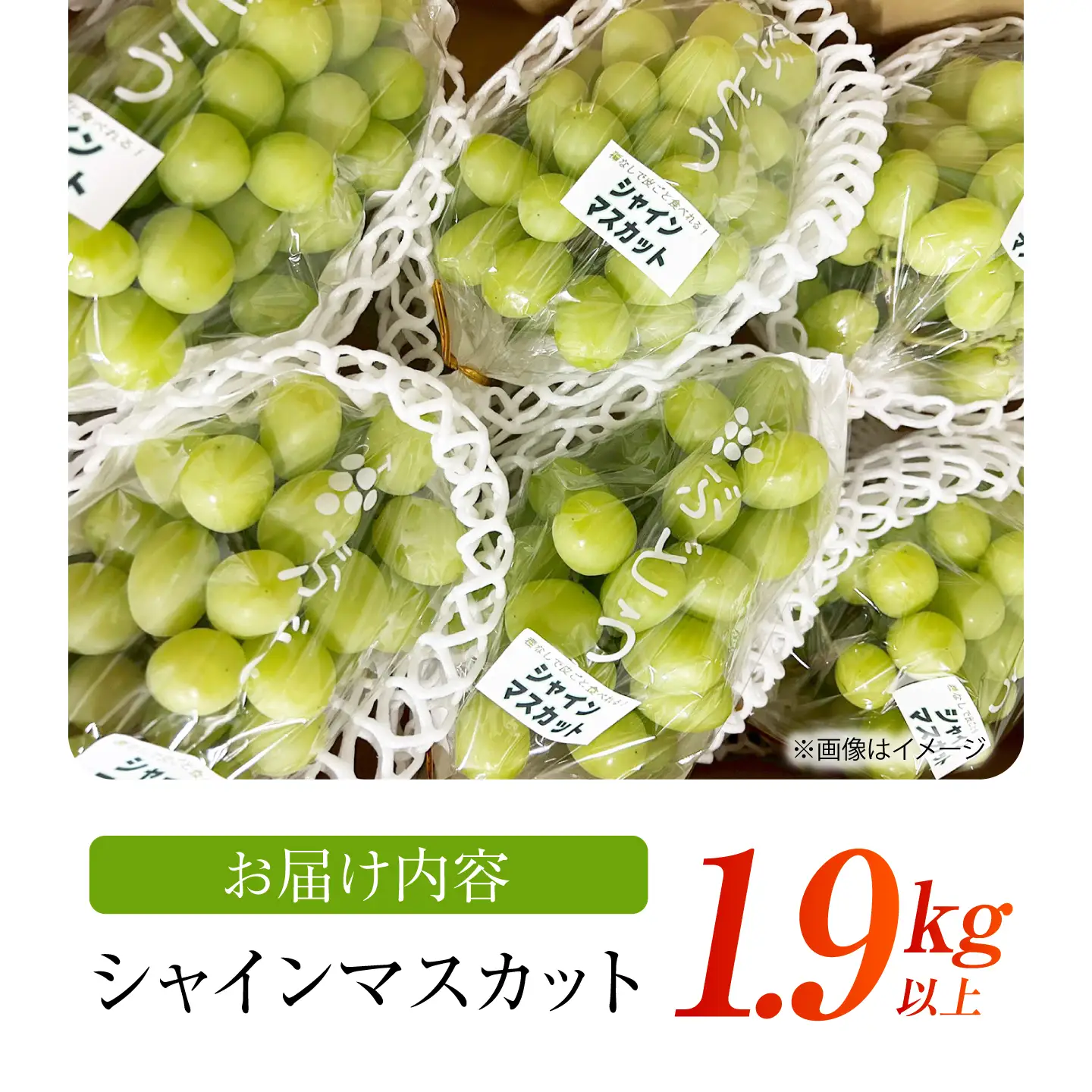 【先行予約】 シャインマスカット 1.9kg以上 【小林農園】 / ブドウ ぶどう 果物 種なし[HAX009]