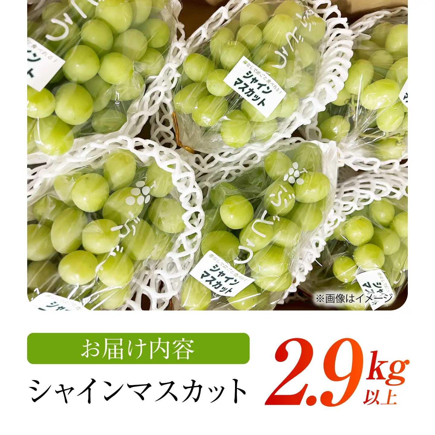 【先行予約】 シャインマスカット 2.9kg以上 【小林農園】 / ブドウ ぶどう 果物 種なし[HAX010]