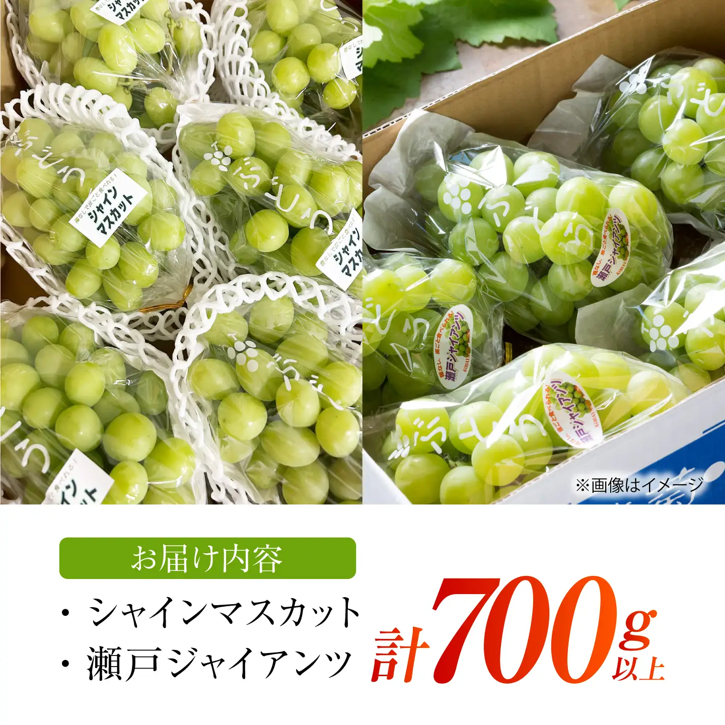 【先行予約】 ぶどう2種詰め合わせ（瀬戸ジャイアンツ・シャインマスカット） 総計700g以上 【小林農園】 / ブドウ ぶどう 果物 種なし[HAX011]