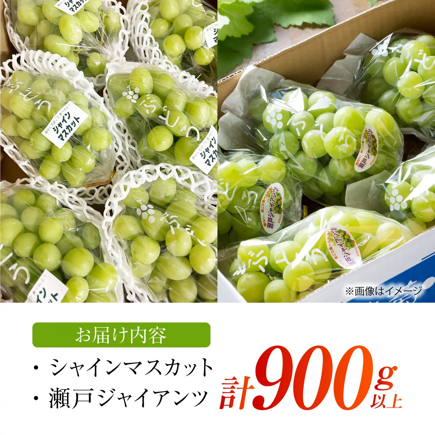 【先行予約】 ぶどう2種詰め合わせ（瀬戸ジャイアンツ・シャインマスカット） 総計900g以上 【小林農園】 / ブドウ ぶどう 果物 種なし[HAX012]