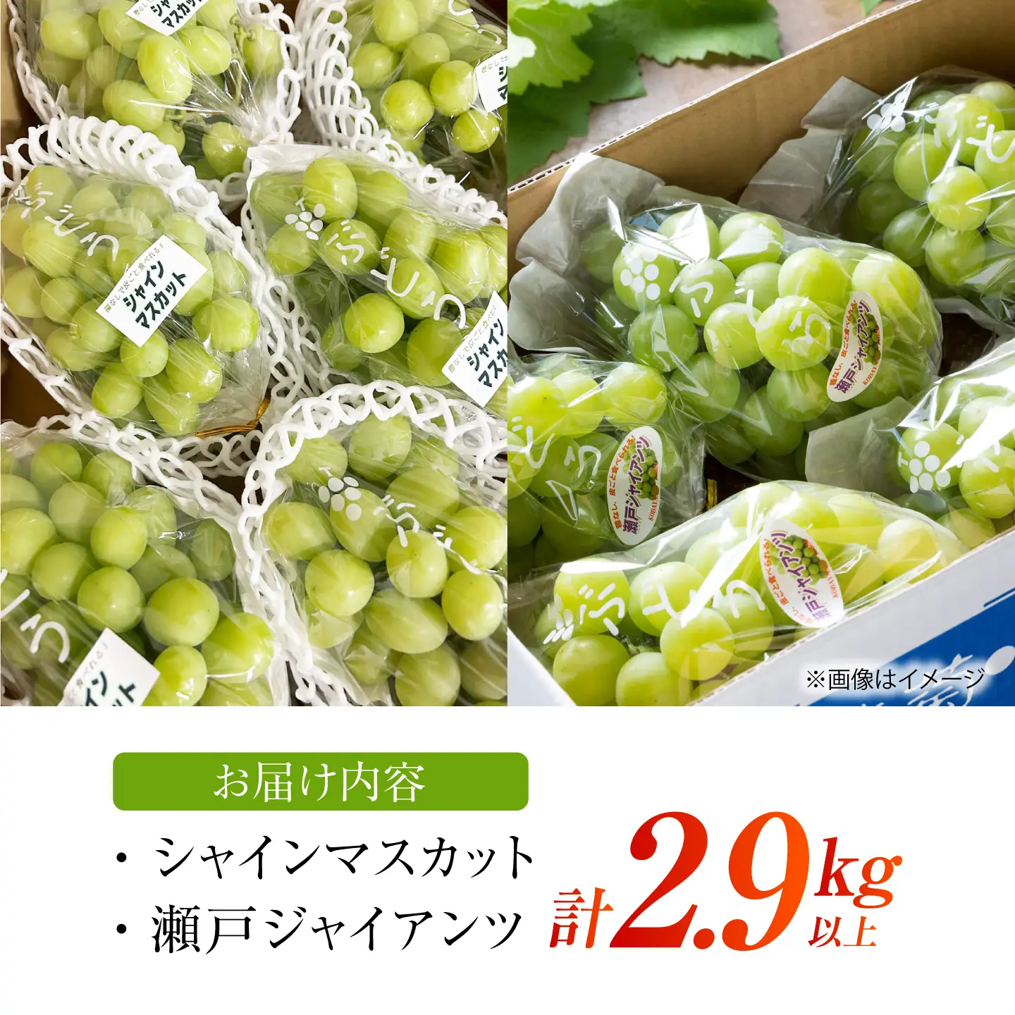 【先行予約】 ぶどう2種詰め合わせ（瀬戸ジャイアンツ・シャインマスカット） 総計2.9kg以上 【小林農園】 / ブドウ ぶどう 果物 種なし[HAX013]