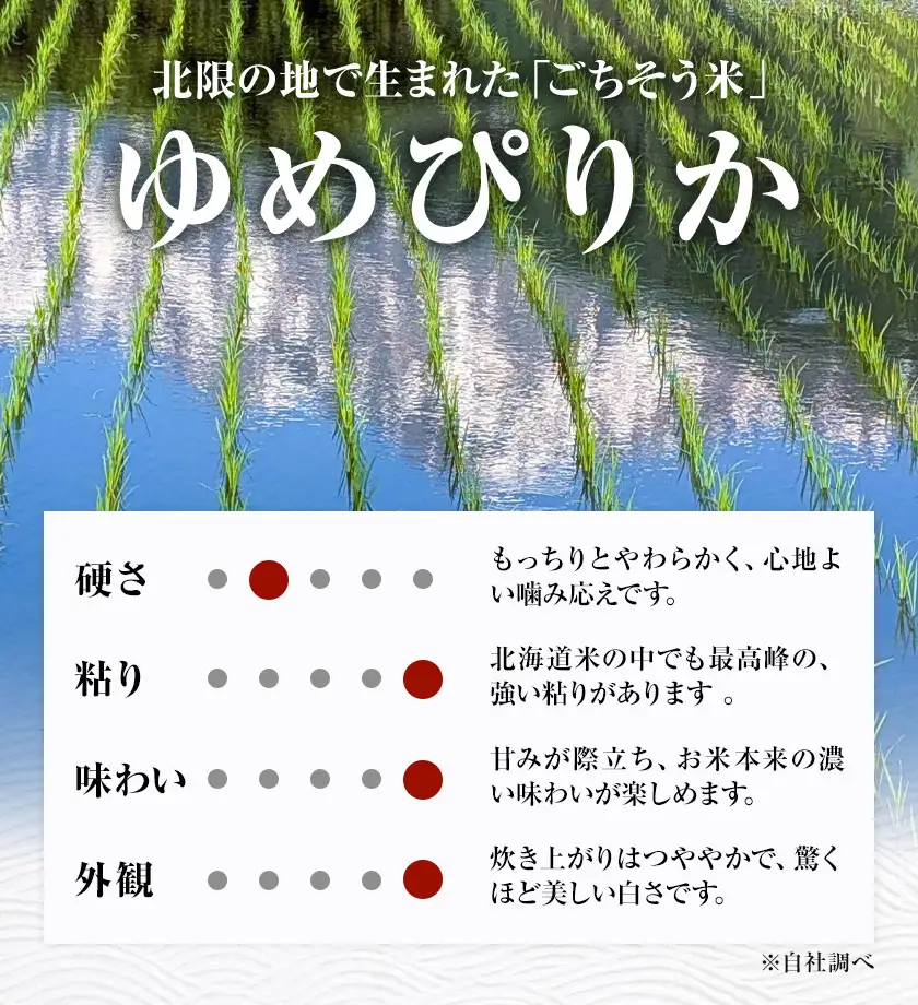 令和8年産 新米 ゆめぴりか 5kg 今村芳彦 北海道名寄市
