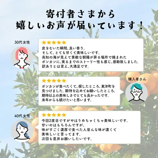 訳アリ完熟ぽんかん10kg  【株式会社フクチャンFARM】