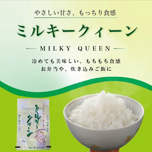 【先行予約 11月より順次出荷】塩崎農場 ミルキークイーン ミルキークイーン 5kg