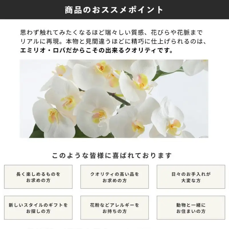 クーポン 商品券 エミリオ・ロバ 10000円 クーポン