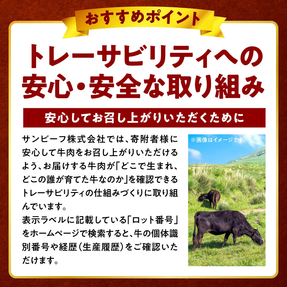 牛肉 【訳あり】くまもと黒毛和牛 切り落とし 合計1.5kg (250g×6パック） 牛肉 肉