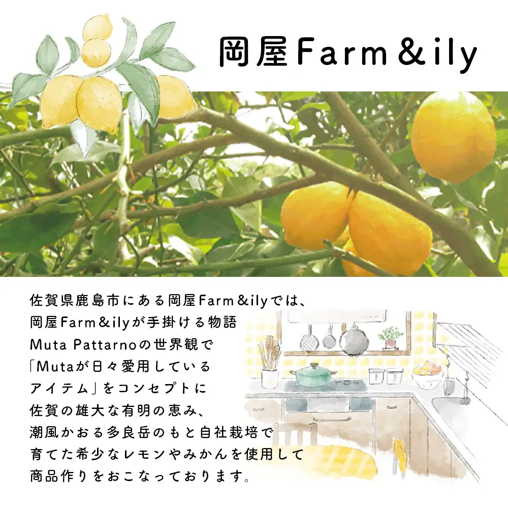B-882 なつみジュース500ml×4本 希少柑橘なつみみかんの濃厚なストレートジュース 佐賀県 鹿島市