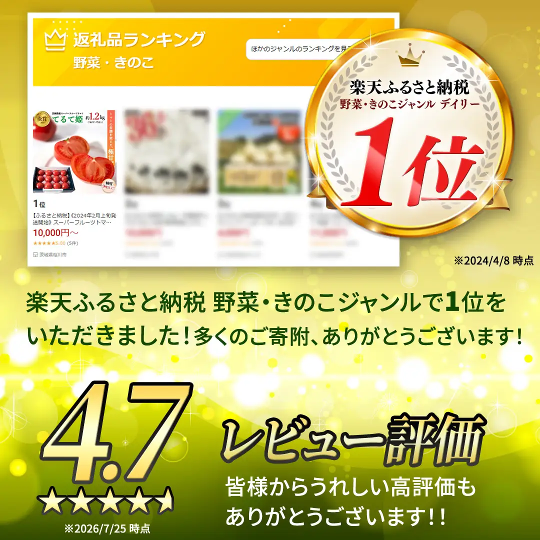 《 2027年 収穫分 》3～4月配送 スーパーフルーツトマト てるて姫 中箱 約1.2kg × 1箱 【12〜15玉/1箱】 糖度9度以上 定期便 先行予約 フルーツトマト ブランドトマト 野菜 ギフト 贈答 青空レストラン アド街ック天国 グッドモーニング 黄金のワンスプーン 昼めし旅 [BC033sa0304]