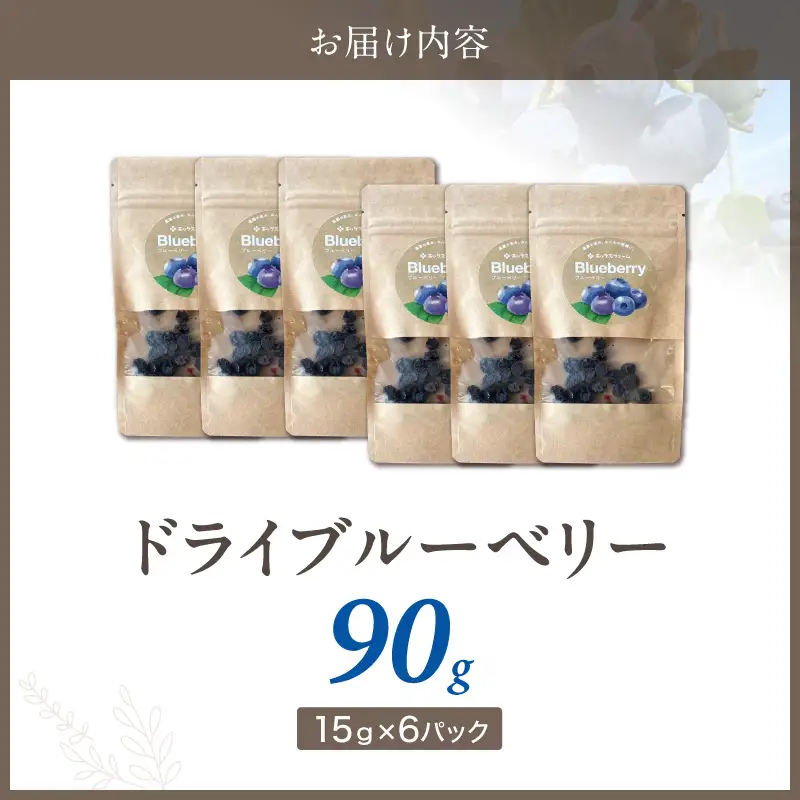 【無添加・砂糖不使用】農家が本気で作ったドライブルーベリー（15g×6パック） ドライフルーツ 乾燥 自然派 シンプル やさしい 甘酸っぱい H164-014