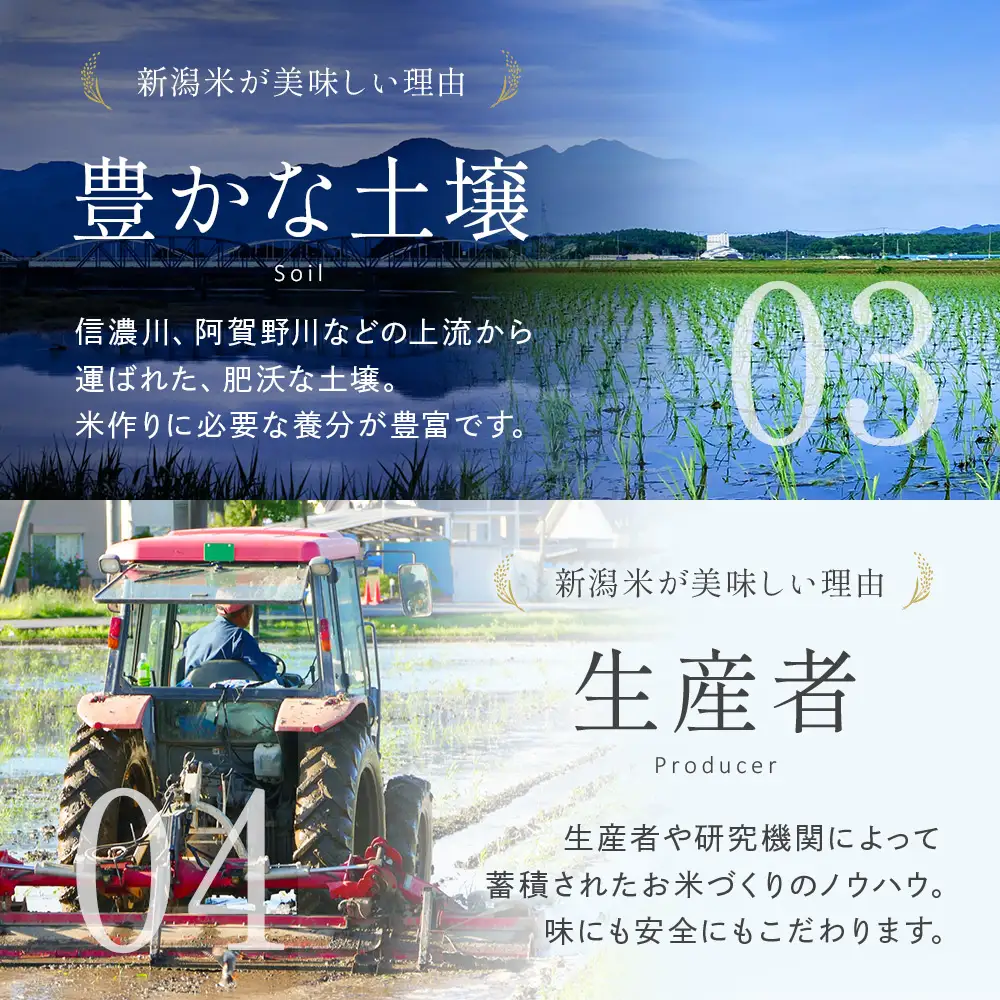令和8年産【無洗米】新潟県産 こしいぶき 5kg