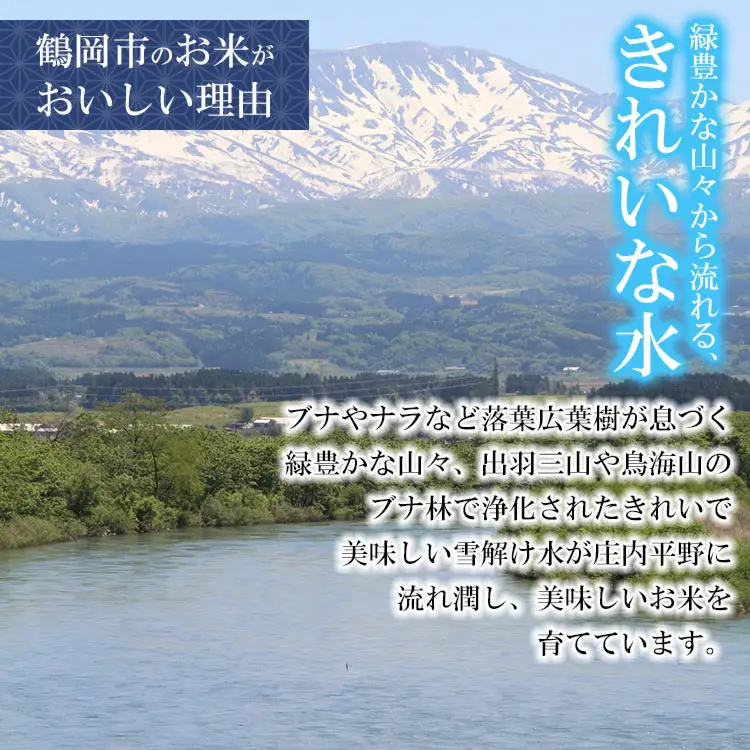 【令和7年産】 特別栽培米 雪若丸 玄米 5kg (5kg×1袋)　山形県 庄内産 　| ゆきわかまる 5キロ 米 お米 コメ 食品 ご飯 ごはん 美味しい おいしい ブランド米 庄内米 エコ包装 おすすめ 人気 山形県 鶴岡市 東北 国産 お取り寄せSDGs未来都市鶴岡 返礼品 