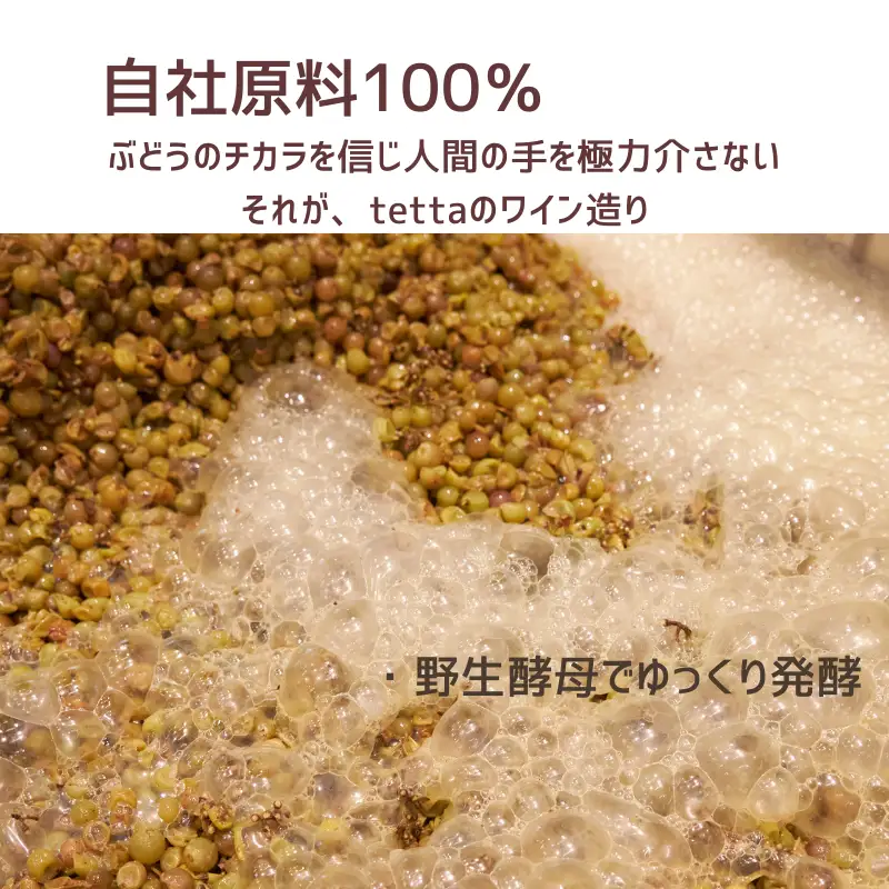 tetta 赤白ワイン 2本セット 各750ｍｌ
