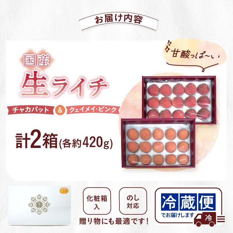 先行予約 数量限定 希少 国産 綾 生ライチ 2箱セット 2種類（化粧箱入り）果物 フルーツ くだもの 国産ライチ 2027年 トロピカルフルーツ 南国フルーツ 冷蔵 ジューシー 高級 デザート ギフト 贈り物 プレゼント ご褒美 宮崎県 送料無料【JA綾町】_A0114-2374
