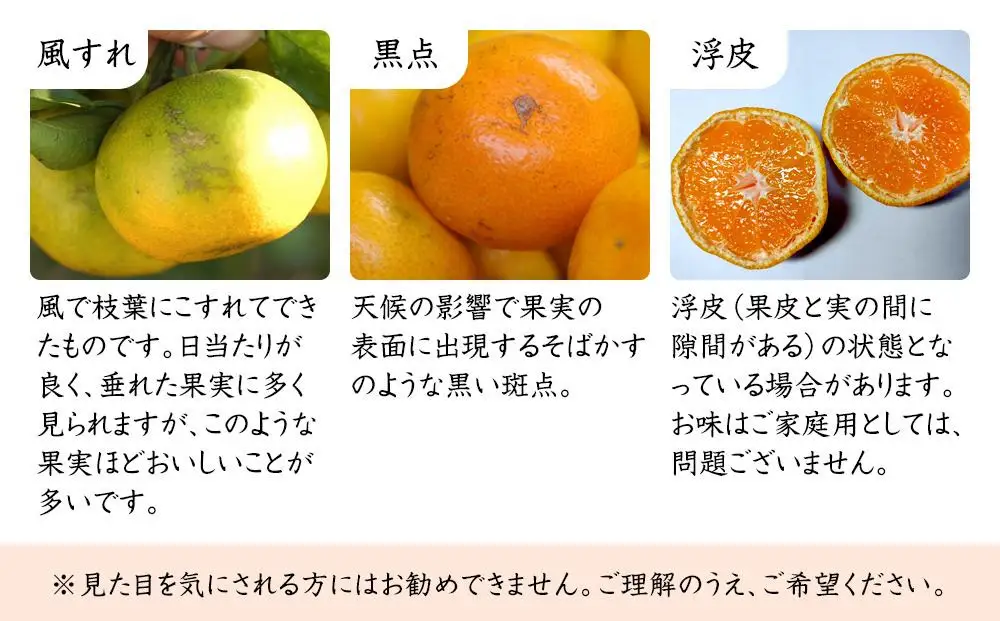 極早生みかん（日南早生みかんなど）混合サイズ 訳あり 7.5kg 「2026年10月より順次発送」［Mg37］
