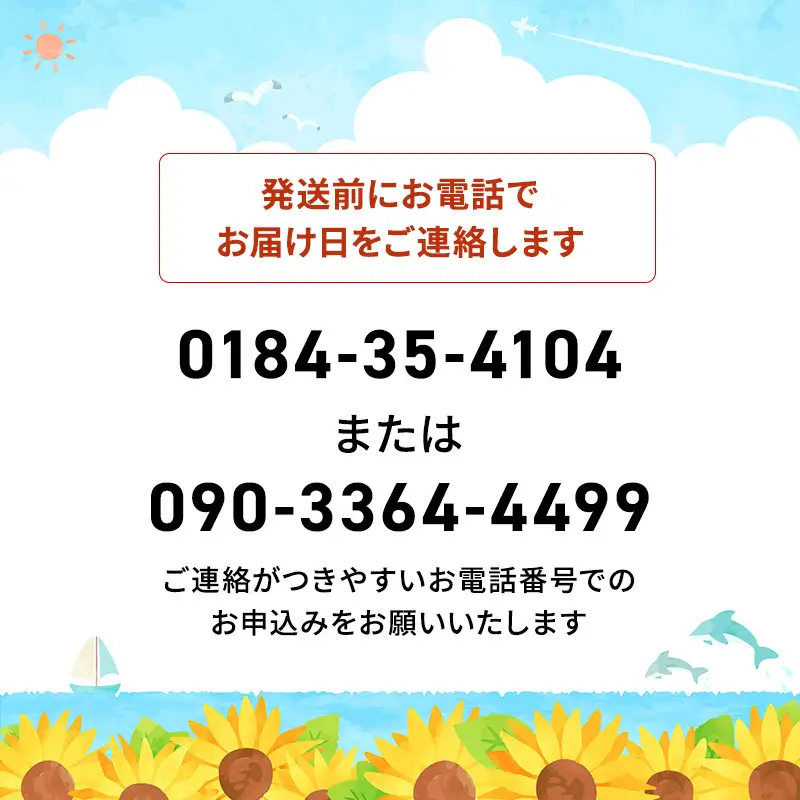【先行予約】天然岩牡蠣 5～6個 生食可 象潟産 ナイフ無
