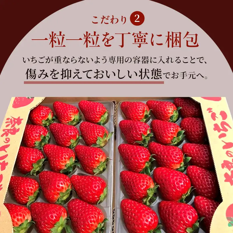 先行予約 いちご 奈良県産 奈乃華 約540g 270g×2パック 今西さん家の奈良いちご 冷蔵配送 なのか フルーツ 果物 旬 糖度 産地直送 農家直送 お取り寄せ おやつ デザート 苺 冷蔵  奈良 大和郡山市
