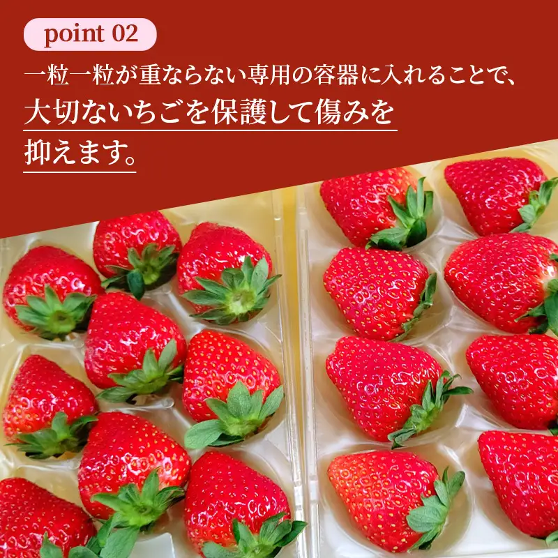 先行予約 いちご 完熟 奈乃華 約250g(250g×1パック ) 佃農園のこだわり フルーツ 果物 旬 産地直送 旬のフルーツ 旬の果物 お取り寄せ デザート イチゴ 苺 冷蔵 奈良 奈良県 大和郡山市 BN001