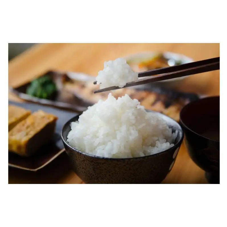 【令和8年産 先行予約】江戸伝承厳選棚田米10kg（5g×2） お米 コメ