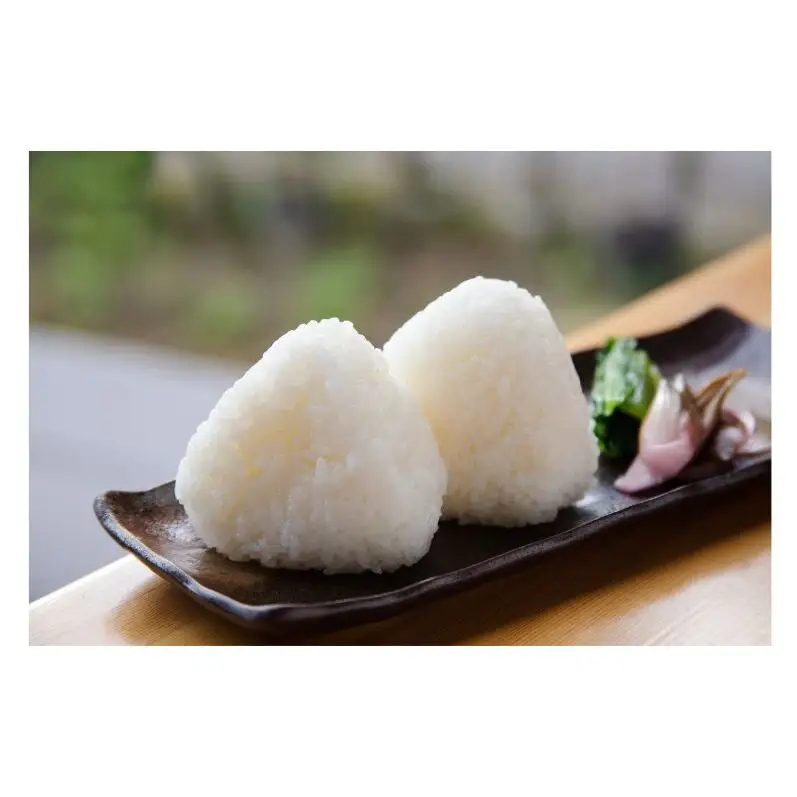 【令和8年産 先行予約】江戸伝承棚田米10kg（5kg×2） お米 コメ