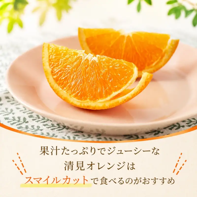 清見 訳あり 5kg / 和歌山 有田 広川 清見 オレンジ きよみ 柑橘 果物 くだもの ギフト フルーツ 果実 ※2027年3月上旬～3月下旬頃に順次発送予定【hkt011-c-5】