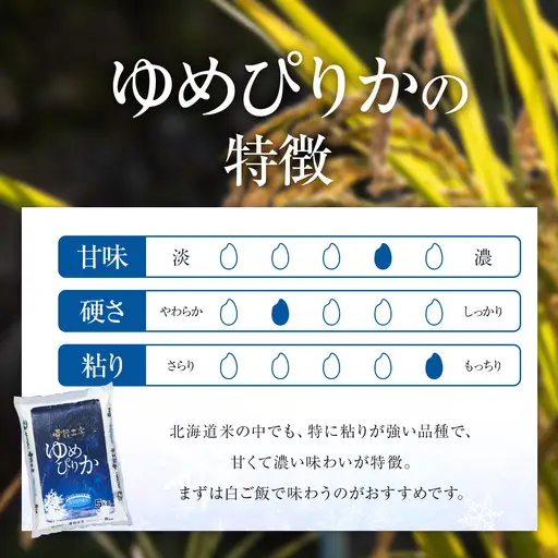 【3回定期便】雪蔵工房 ゆめぴりか おぼろづき 計10kg（5kg×2袋） | 精米 お米 米 北海道 北海道米 | JAびばい